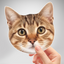 Custom mini pet big head cutout with personalized cat face photo for pet decorations and celebrations