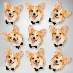 Personalized mini pet face cutouts featuring multiple dog and cat photos for party decorations