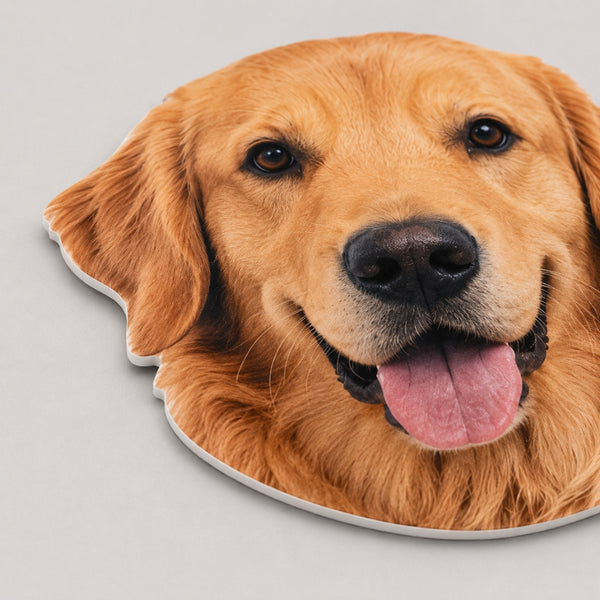 3/16 inch white foamcore material for custom pet big head cutout with smooth photo printed surface