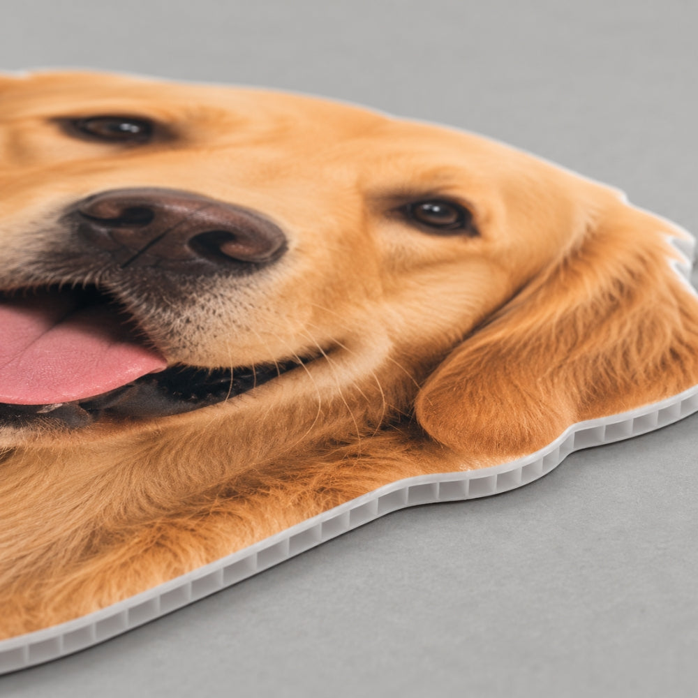 4mm white coroplast material used for custom pet life size cardboard cutout with lightweight corrugated plastic construction