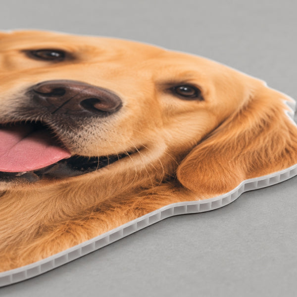 4mm white coroplast material used for custom pet life size cardboard cutout with lightweight corrugated plastic construction