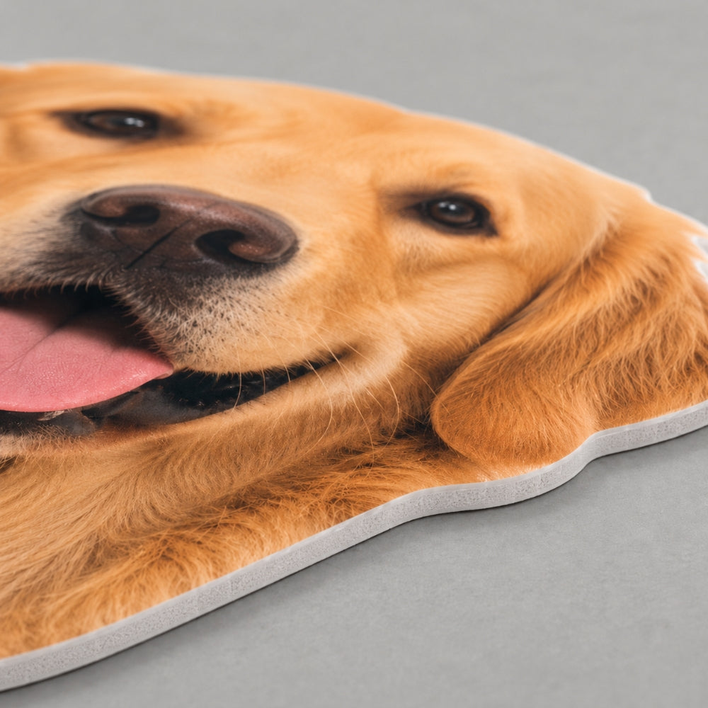 3/16 inch white foamcore material for custom pet life size cutout with smooth surface and detailed photo printing
